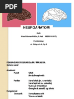 Download Neuroanatomi Aries by Aries Rahman Hakim SN102664984 doc pdf