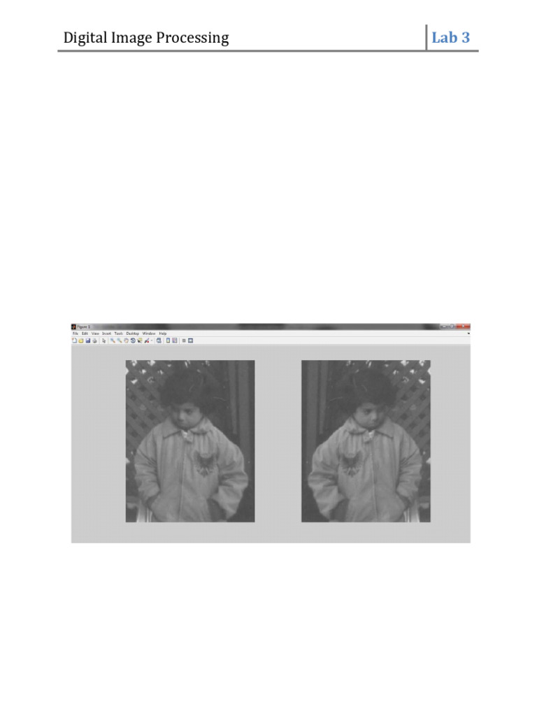 DIP Lab 3 | PDF | Rgb Color Model | Graphics