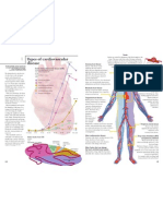 Cvd Atlas 01 Types