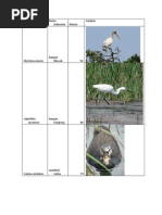 Daftar Burung Indonesia Pdf