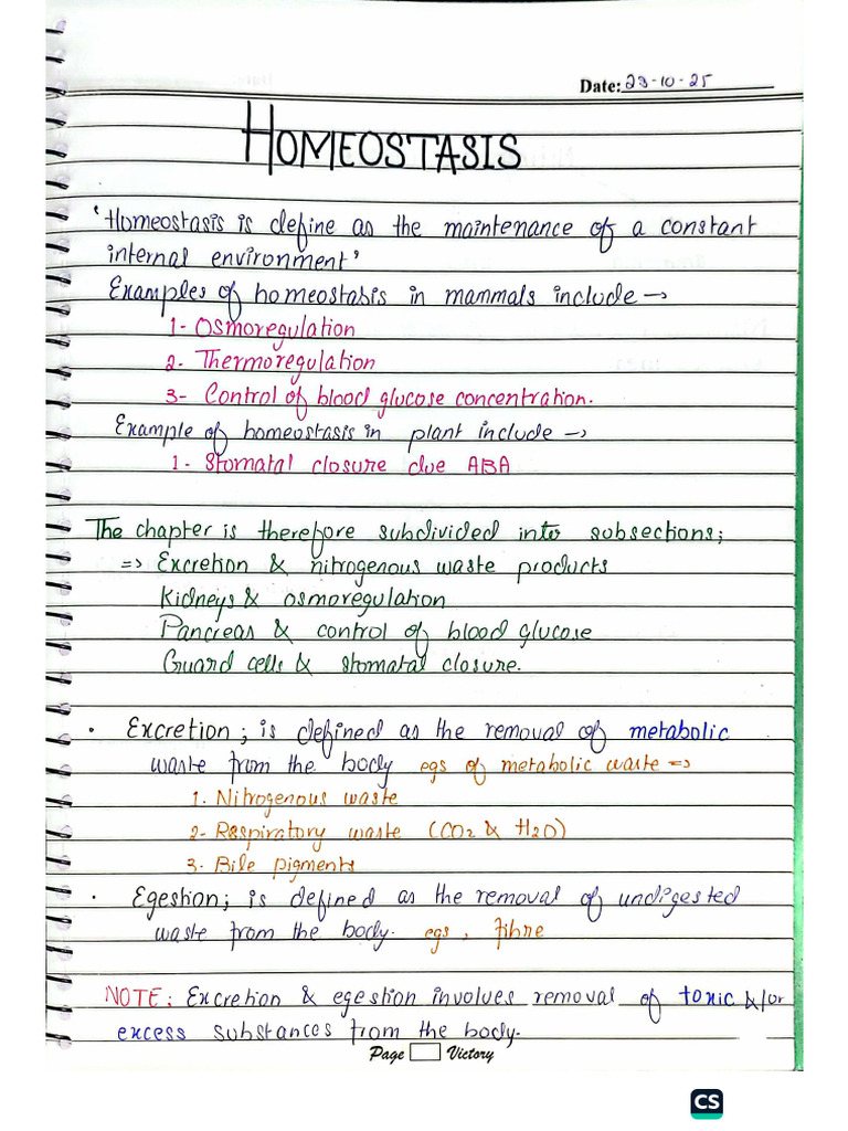 Homeostasis | PDF
