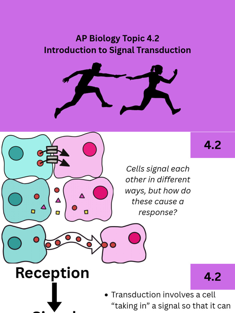 AP Biology Topic 4.2 Introduction to Signal Transduction | PDF | Cell ...