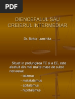 Diencefalul Sau Creierul Intermediar