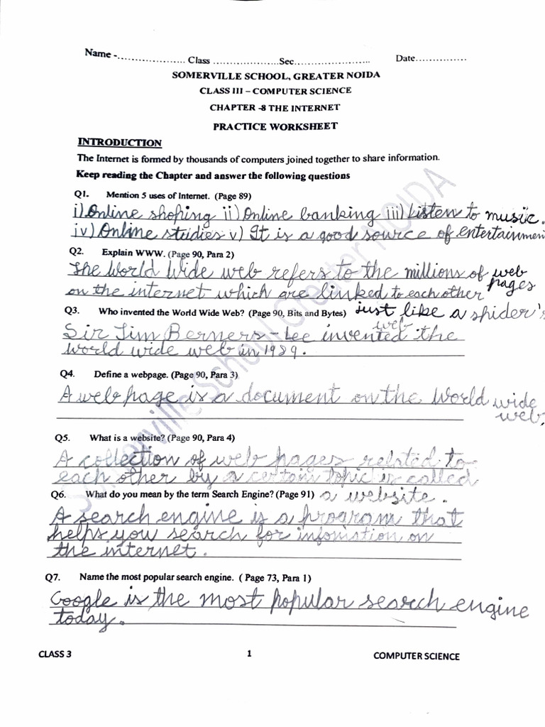 Ronit Anand—3A Computer Ch-8 Revision Worksheet | PDF