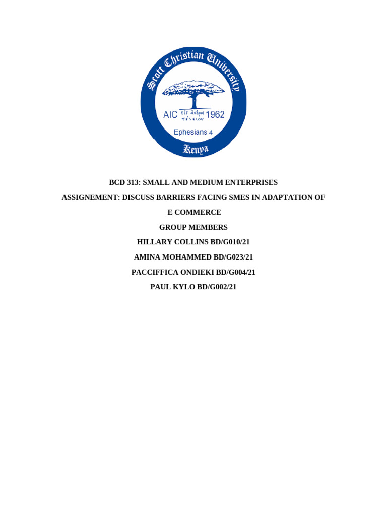 BCD 313 GROUP D | PDF | E Commerce | Computer Security