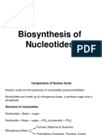 Nucleotide Biosynthesis