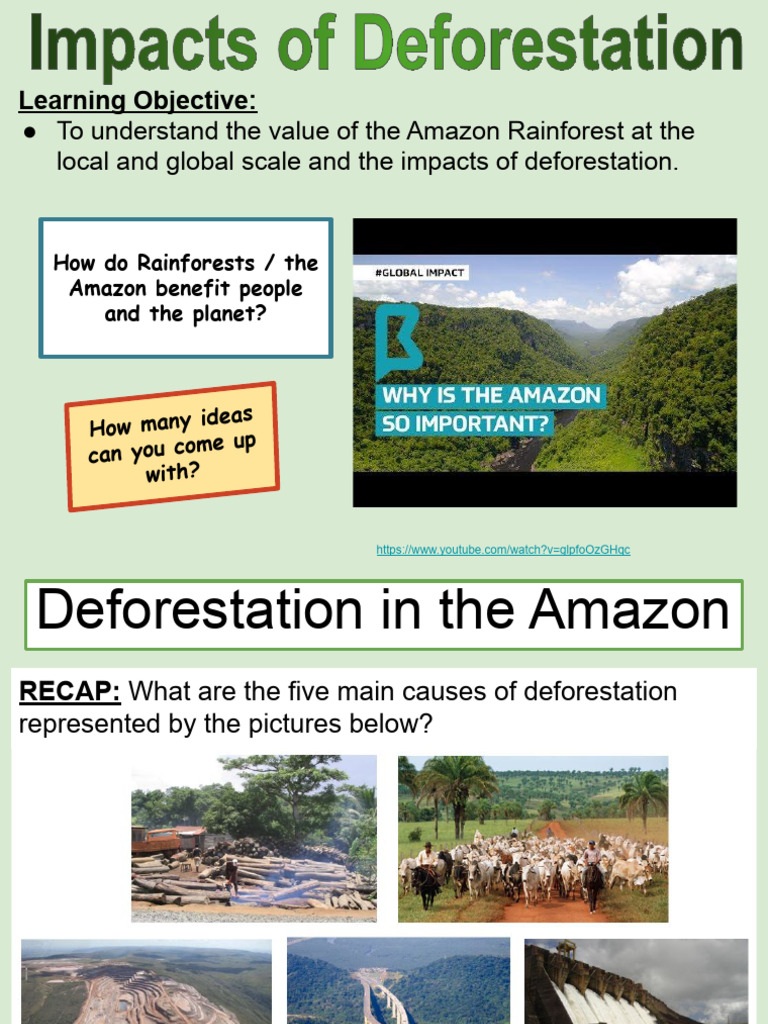 L5. Impacts of Deforestation | PDF | Amazon Rainforest | Deforestation