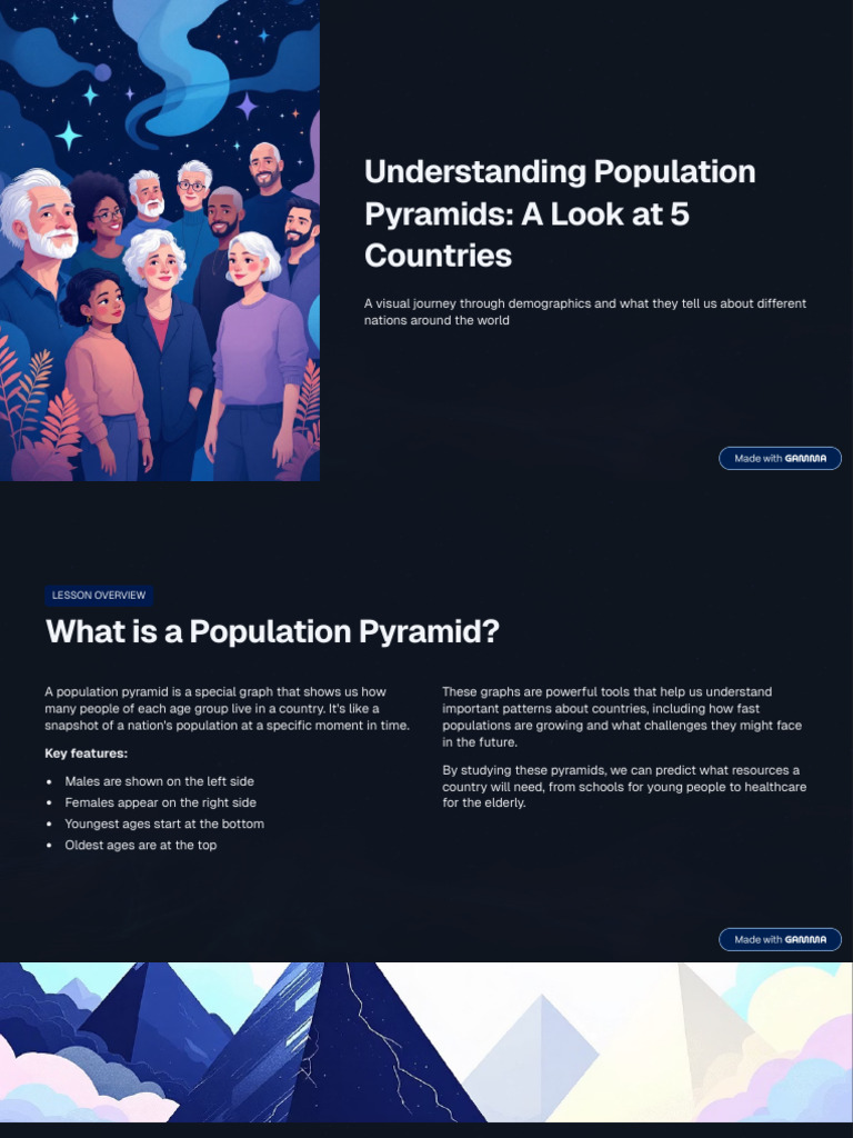 Understanding Population Pyramids a Look at 5 Countries | PDF | Economies