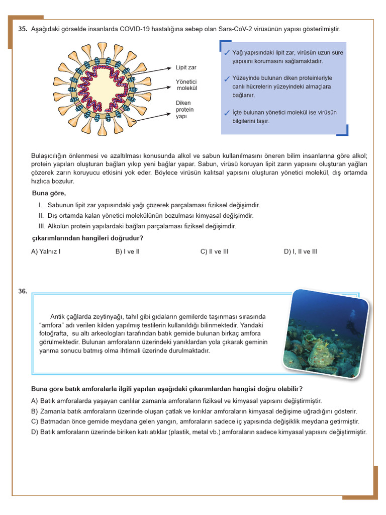 Örnek Sorular 4. Ünite SON KISIM | PDF