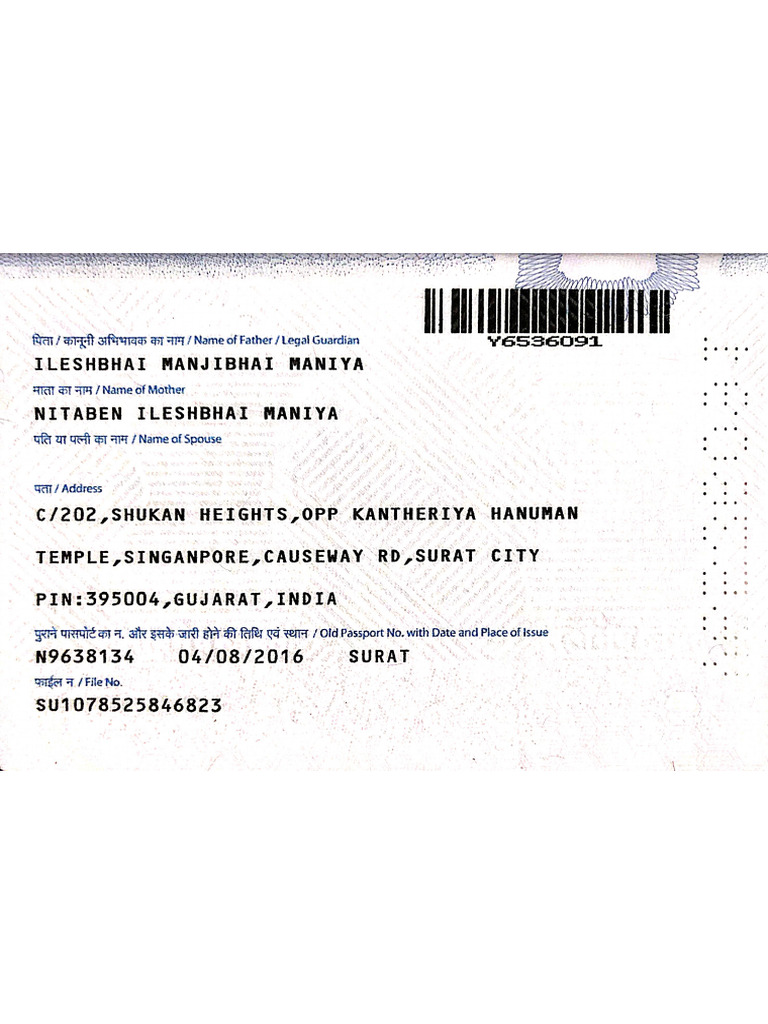 Passport Back | PDF