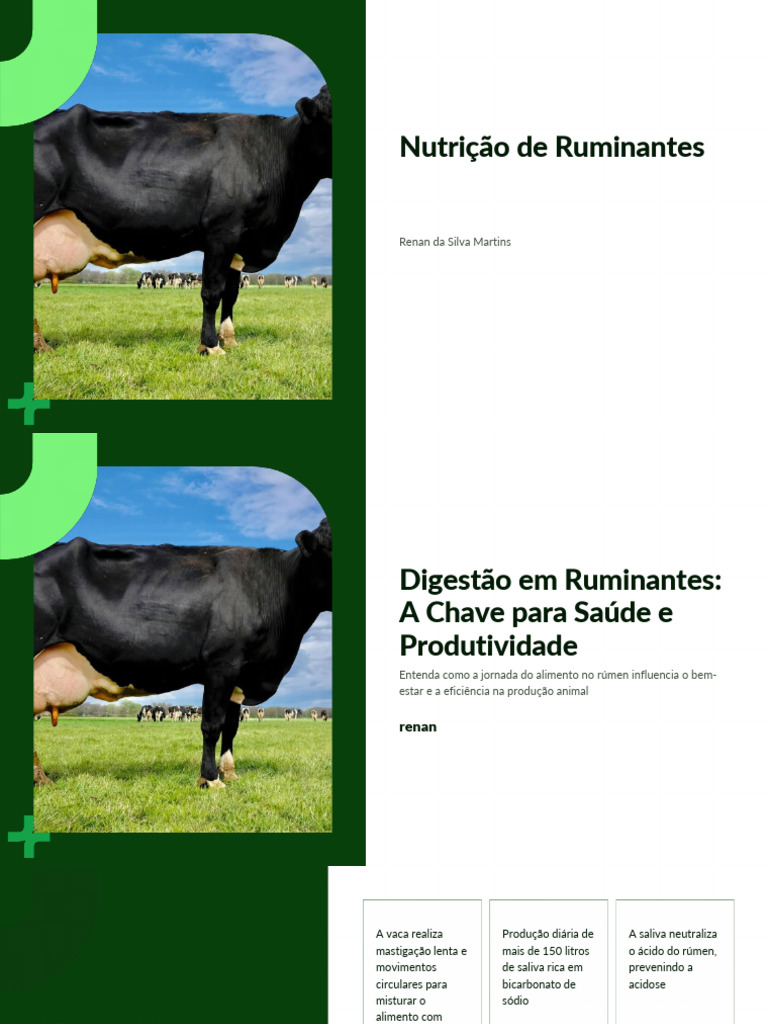 Aula sobre Digestão em Ruminantes 1 | PDF | Digestão | Ruminante