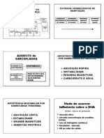 Adaptacoes Neurofisica s -Hipertrogia