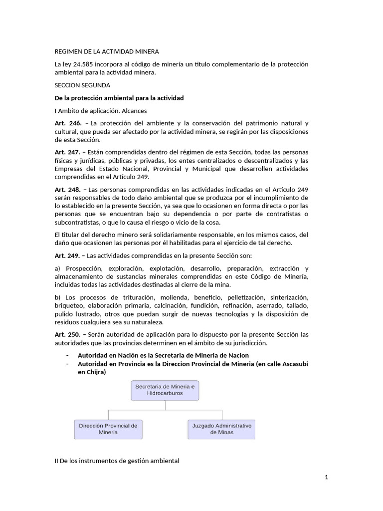 Regimen de La Actividad Minera | PDF | Minería | Entorno natural