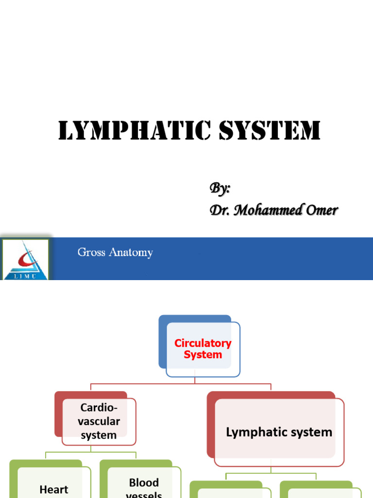 Chapter 9 Lymphatic system | PDF | Lymphatic System | Lymph