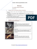 Perros PDF EspecialidaDesarrollada (1)