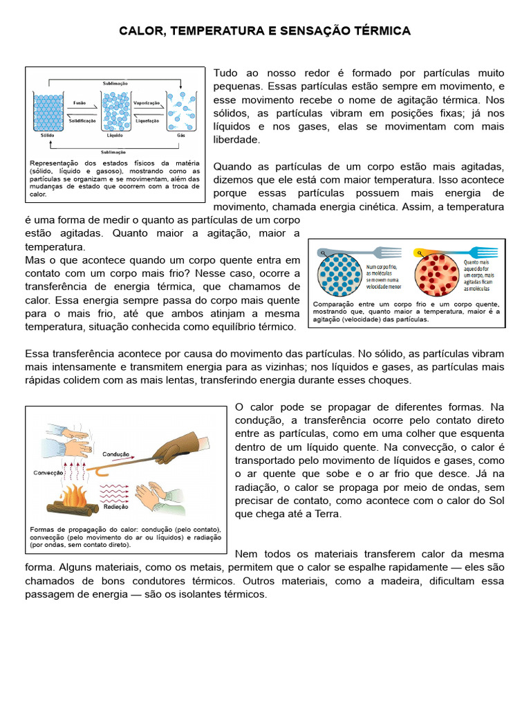 Calor e Temperatura | PDF | Calor | Temperatura