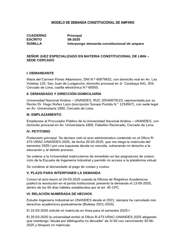 Modelo de Demanda Constitucional de Amparo | PDF