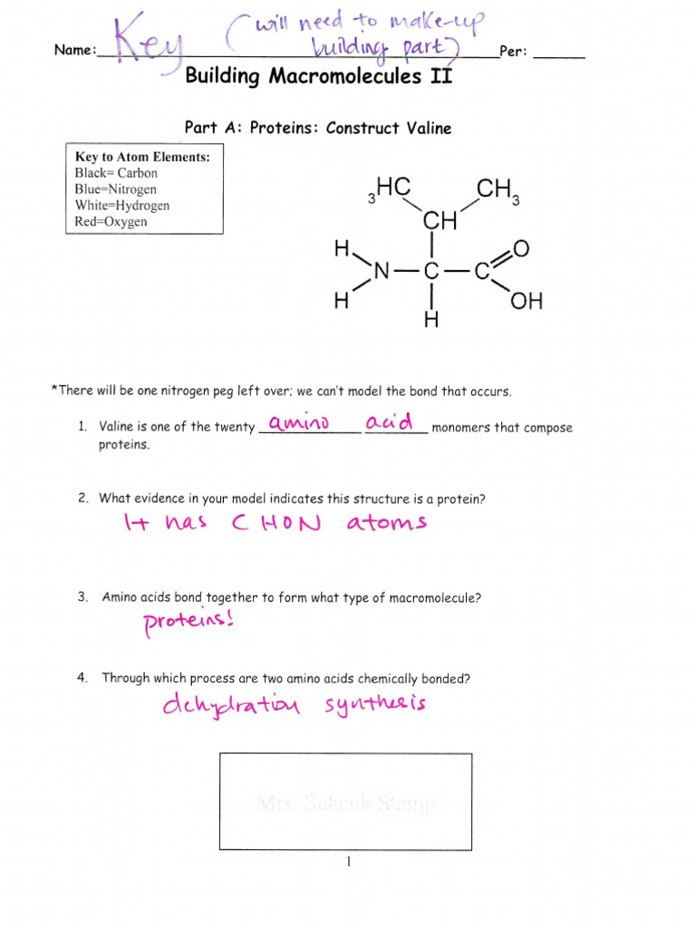 Building Lab II Partial KEY | PDF | Lipid | Fat