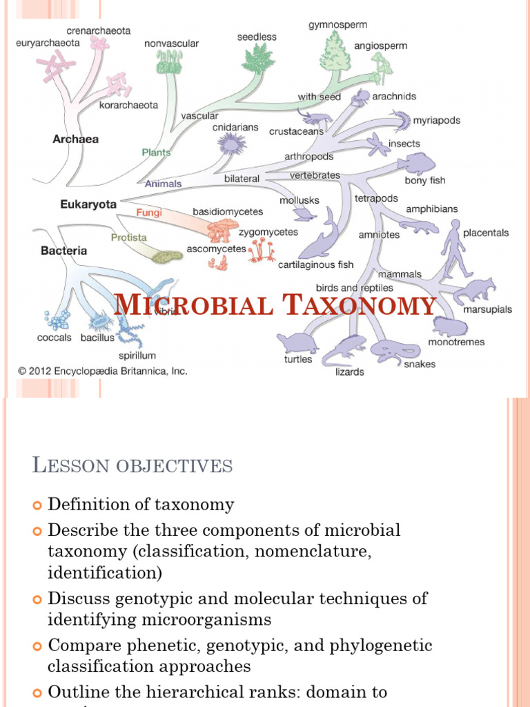 8. Microbial taxonomy | PDF | Taxonomy (Biology) | Bacteria
