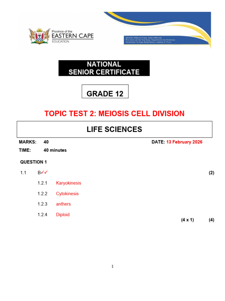 Grade 12 Topic Test Meiosis 2026 Corrected Memo | PDF | Meiosis ...