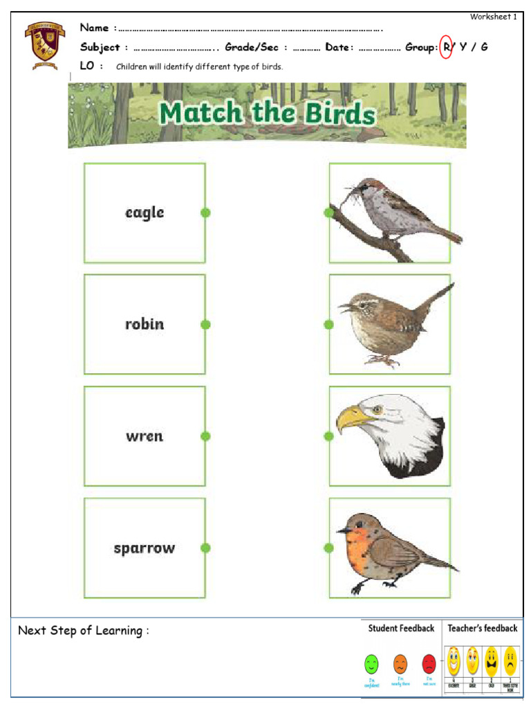 Birds Worksheet 1st Term | PDF