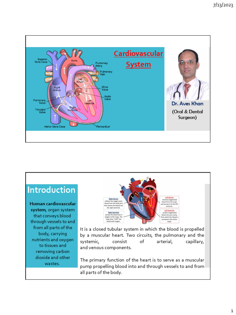 Cardiovascular System | PDF | Heart Valve | Circulatory System