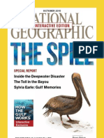 National Geographic Interactive 2010-10