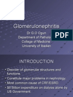 Glomerulonephritis Medical Student Lecture 2