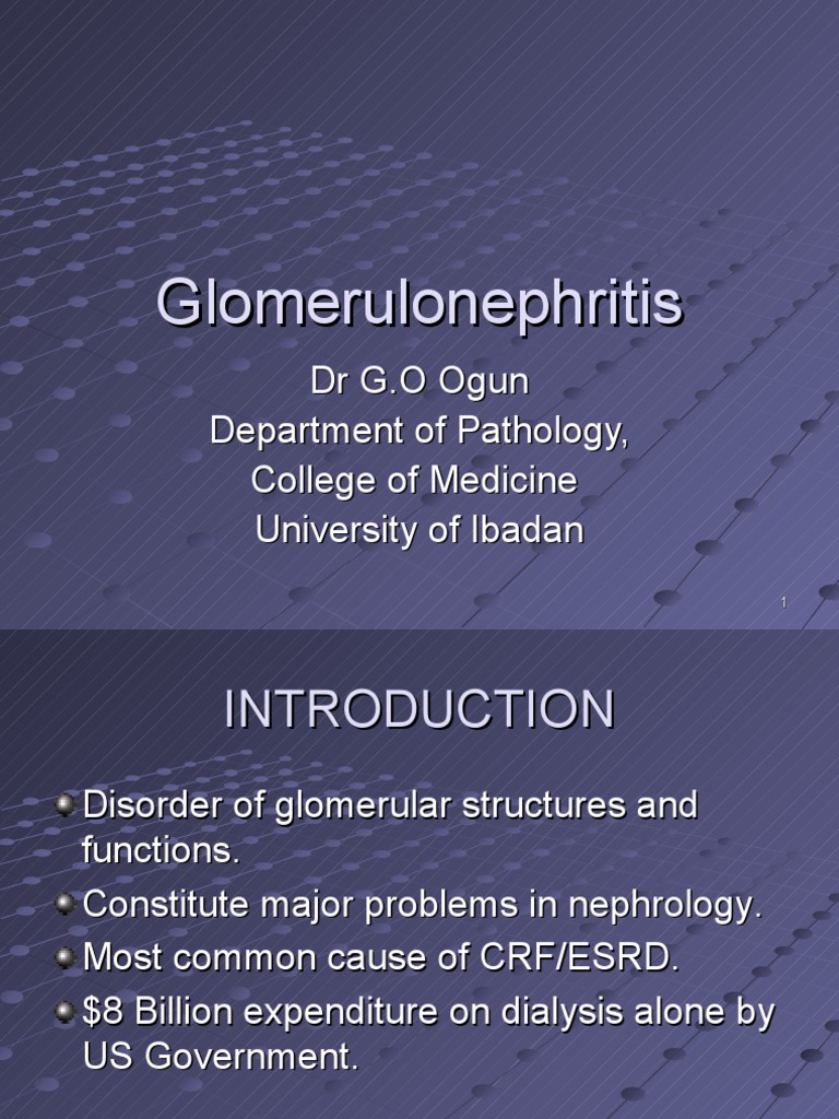Glomerulonephritis Medical Student Lecture 2 | PDF | Nephrology ...