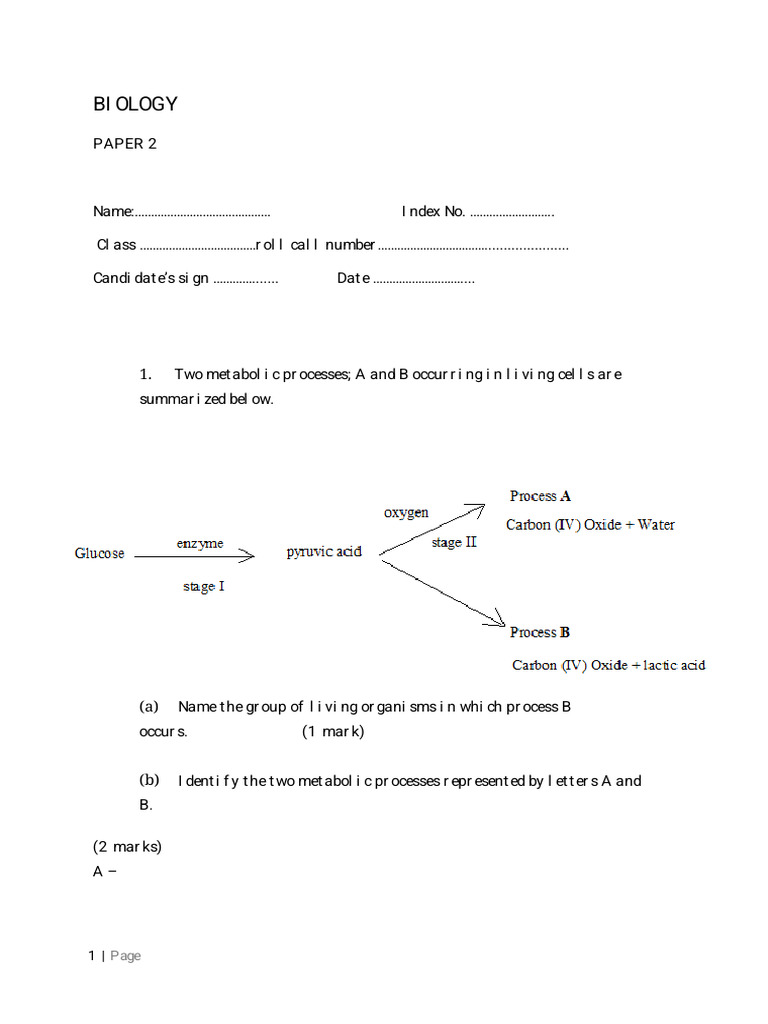 FORM 4 - Bio pp2 Revision | PDF