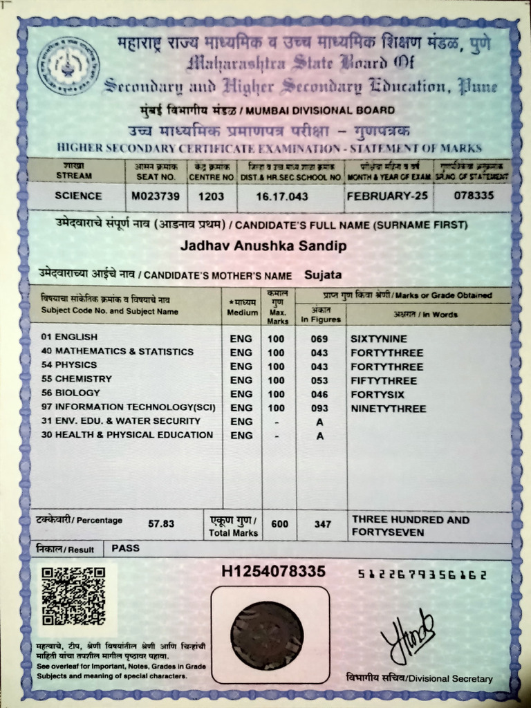 12 TH Marksheet | PDF