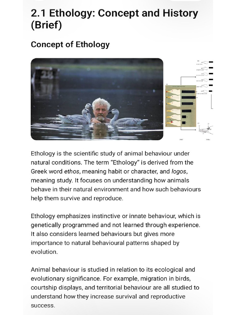 Animal Behaviour Notes For Exam | PDF