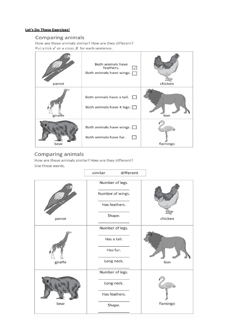 Comparing Animals | PDF