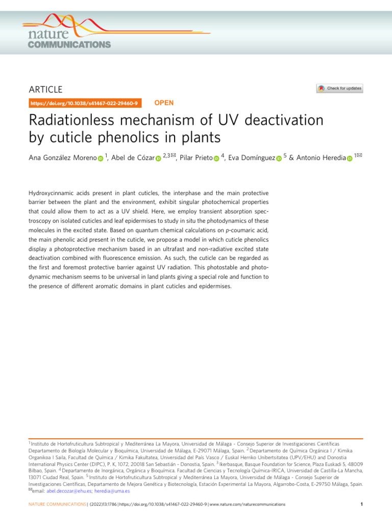 Radiationless Mechanism of UV Deactivation | PDF | Ultraviolet