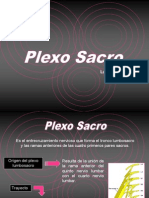 Plexo-Lumbar y Sacro (2)
