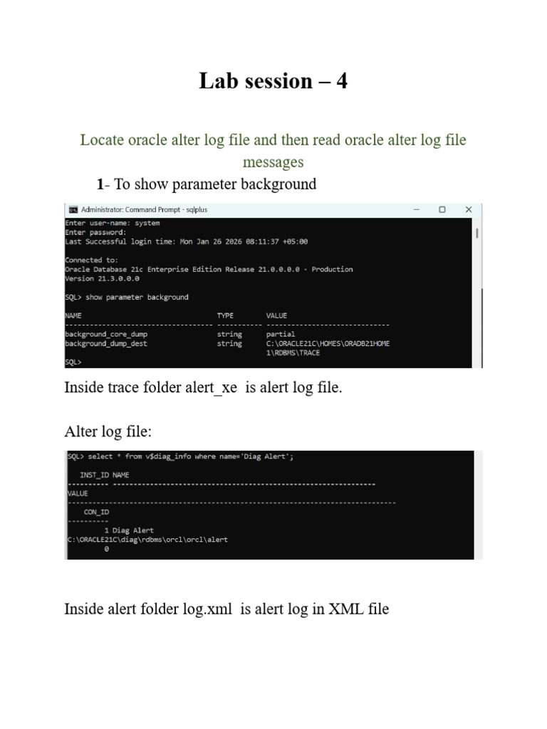 Lab SessionBSIT 1478 | PDF