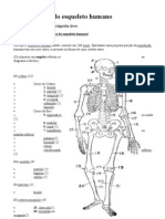 Lista de Ossos Do Esqueleto Humano Documento