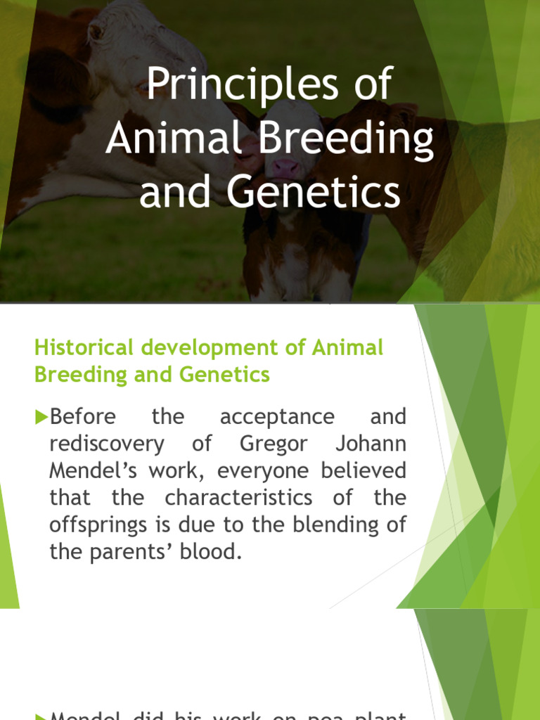 Group 2 Animal Breeding and Genetics 1 | PDF | Gene | Genetics