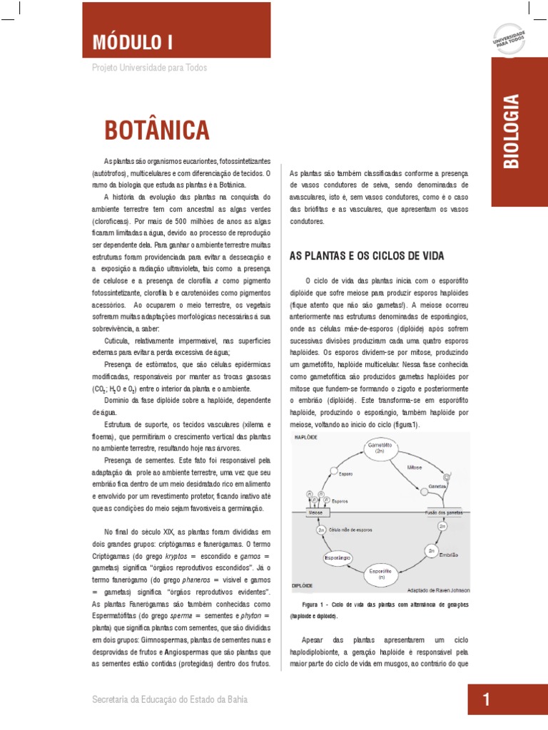 MKS » Como os Engenheiros Mudaram o Mundo – Moinhos de vento