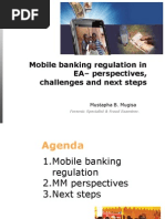 Mobile Banking Regulation - IBA