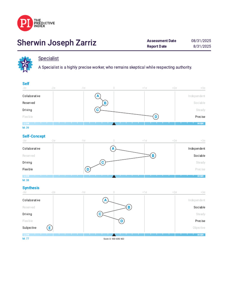 Predictive Index - Behavioral Report | PDF | Social Psychology | Psychology