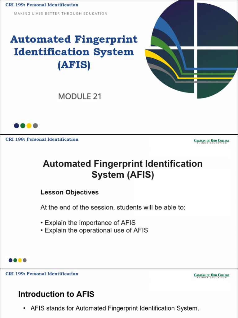 PI-REPORTING | PDF