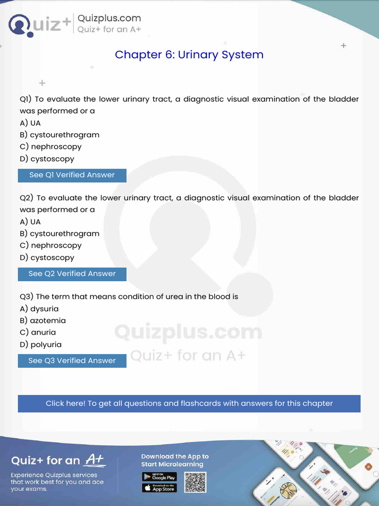 To Evaluate the Lower Urinary Tract a Diagnostic Visual Examination of ...