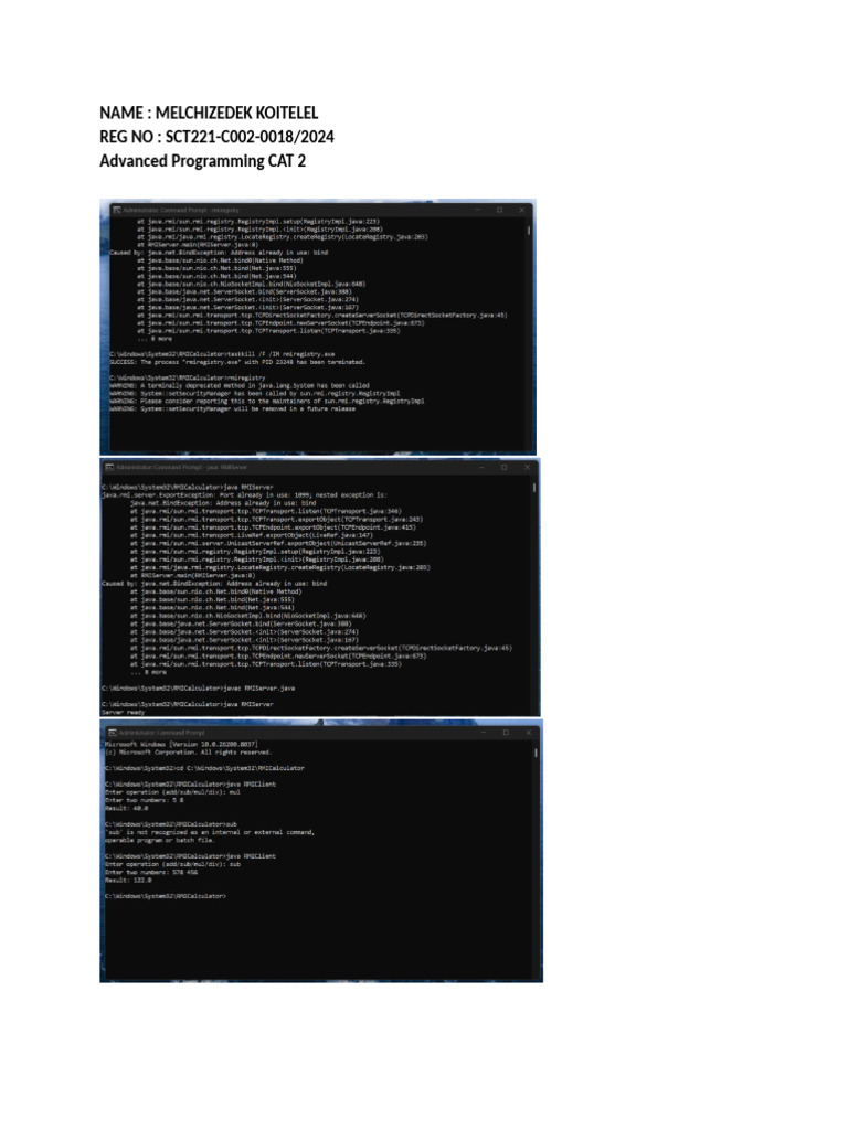 Advanced Programming CAT 2 | PDF