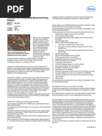 Ventana IHC Staining Protocol Guide | PDF