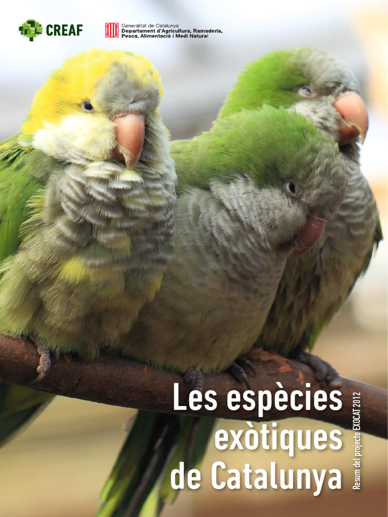 Exocat 2012 | PDF