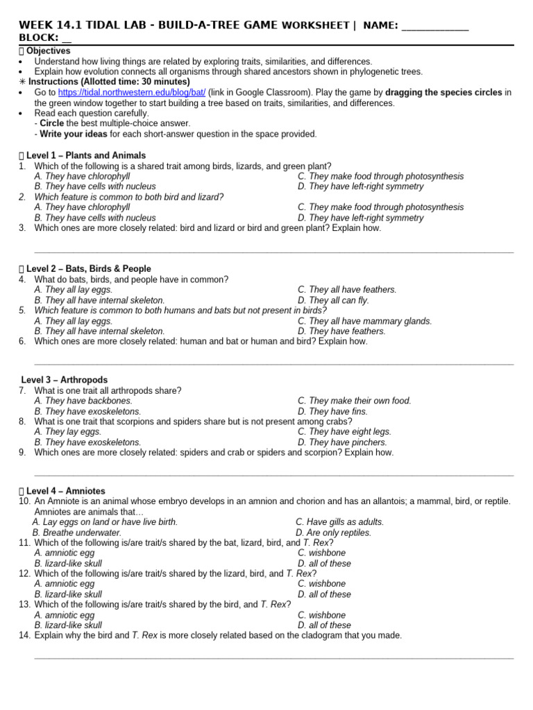 Build-A-Tree Game Worksheet 1 | PDF | Egg | Birds