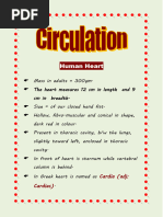 Human Heart Anatomy Overview | PDF | Heart | Heart Valve