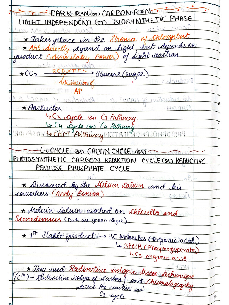 C3 | PDF