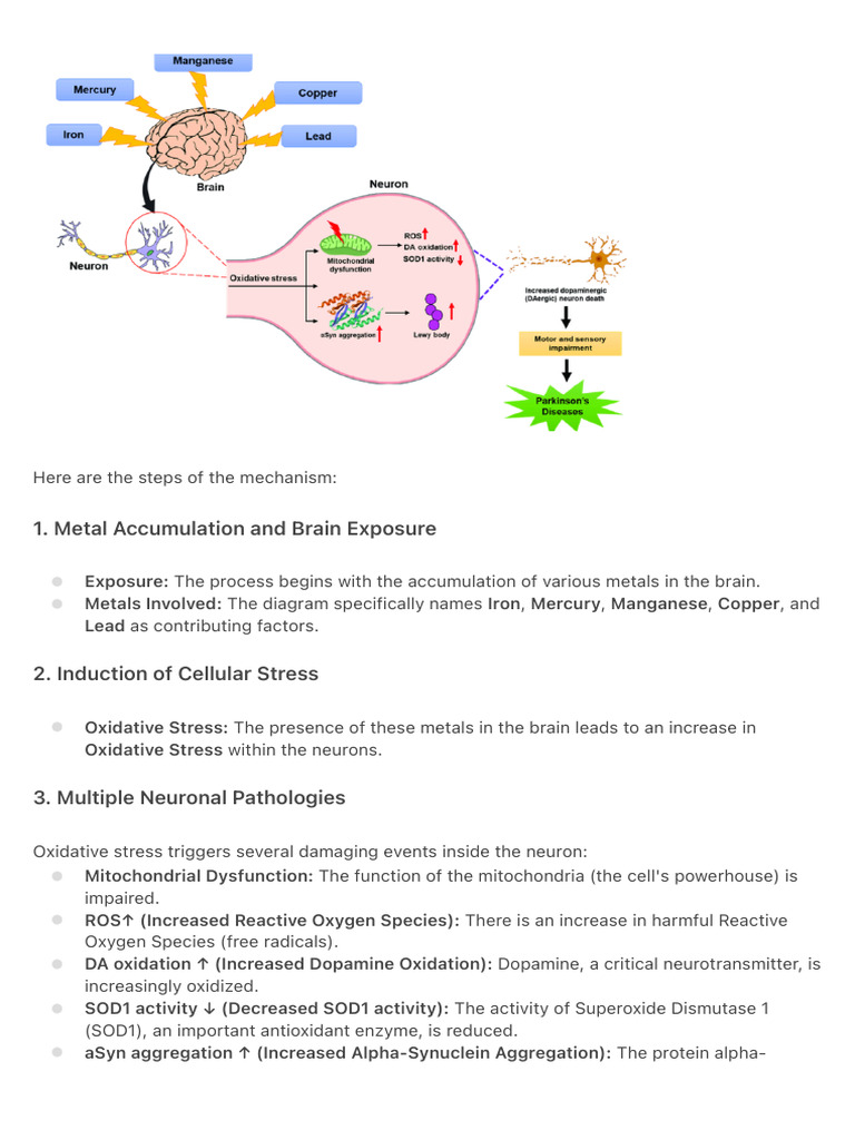 Here Are The Steps of The Mechanism | PDF